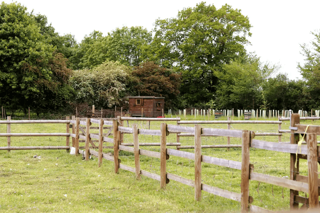 Board only stay at our shepherds hut (per night)