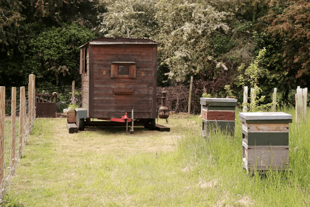 Board only stay at our shepherds hut (per night)