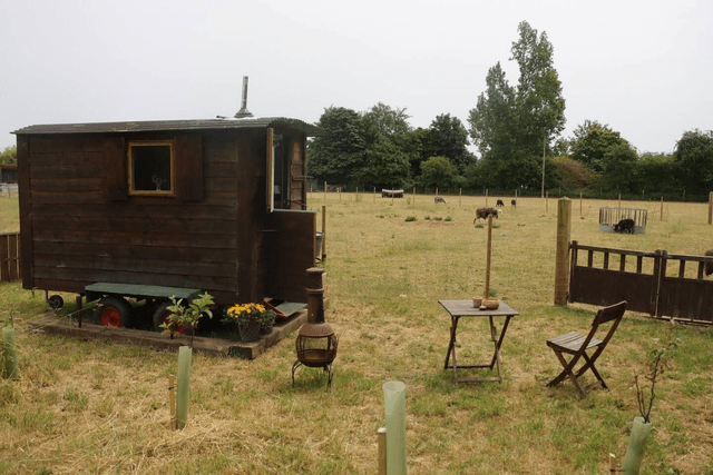 Board only stay at our shepherds hut (per night)